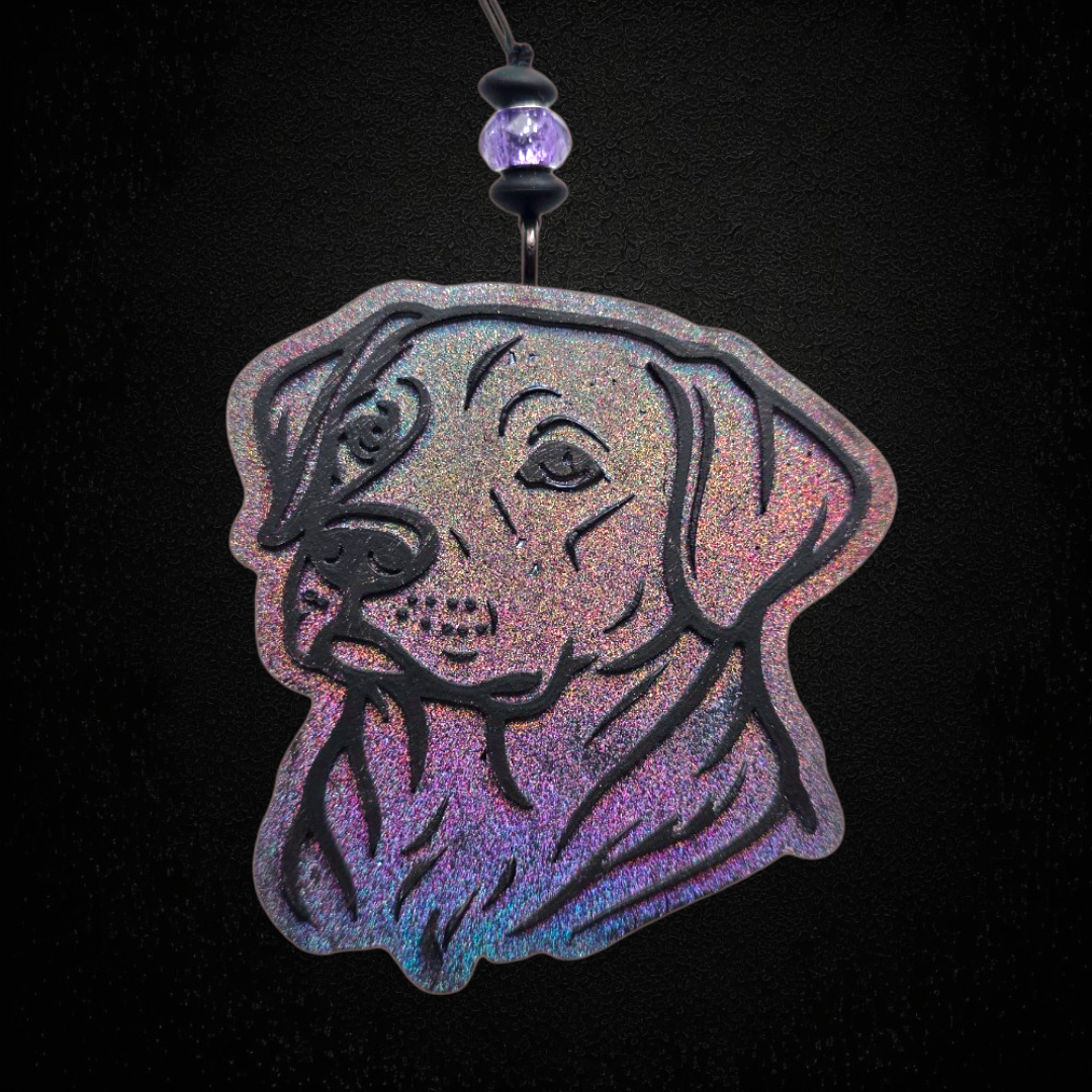 Labrador Freshie